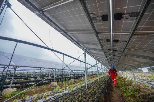 中國十三省最大光伏電站在這里！欽州康熙嶺的光伏電站能排上號了嗎？